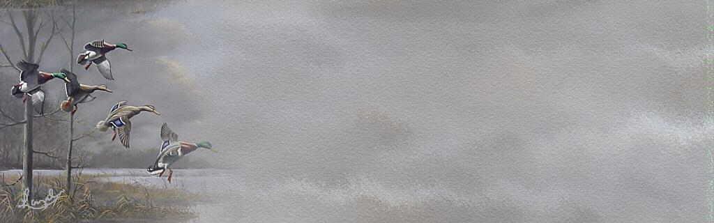 eml_30